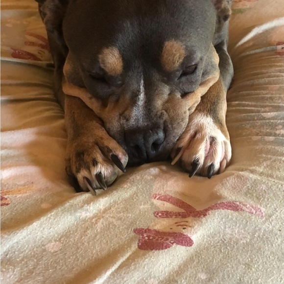 A tiny Slice of my Island Homes ❤️ - Picture 13 of 15